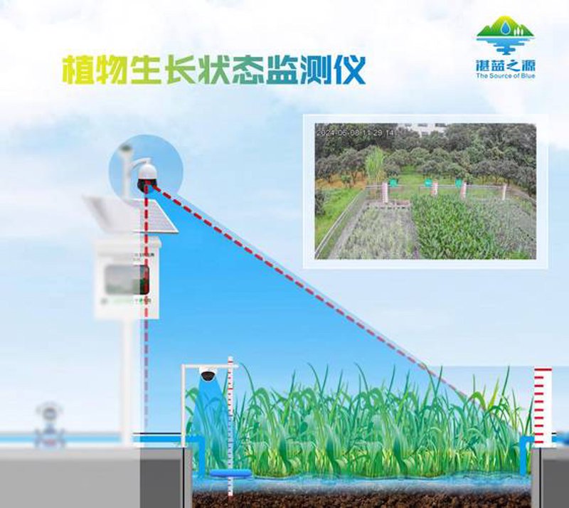 智慧农业解决方案:现代农业的新航标